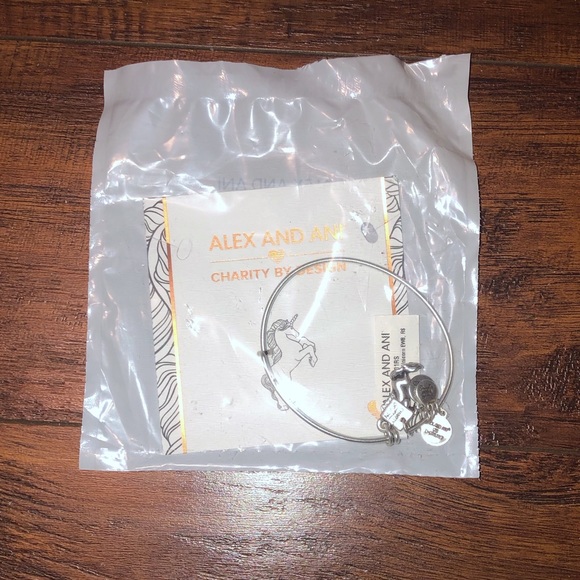 Alex and Ani Silver Adjustable Bracelet - Picture 1 of 2